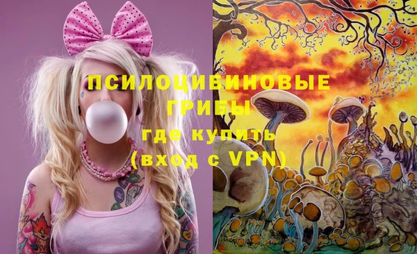 крисы Кинешма