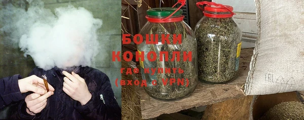 гидра Киренск