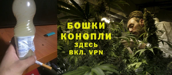 гидра Киренск