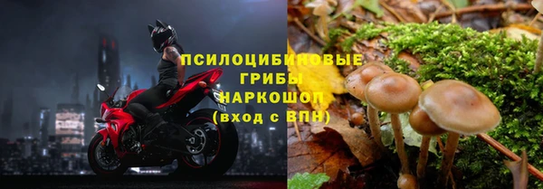 спиды Киреевск
