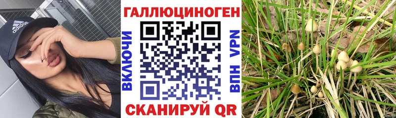 Галлюциногенные грибы MAGIC MUSHROOMS Ессентуки